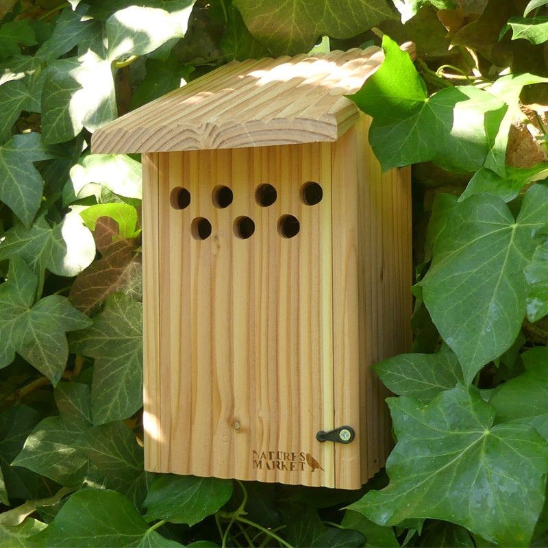 Gîte "Chrysope" en Epicéa et Pin Douglas