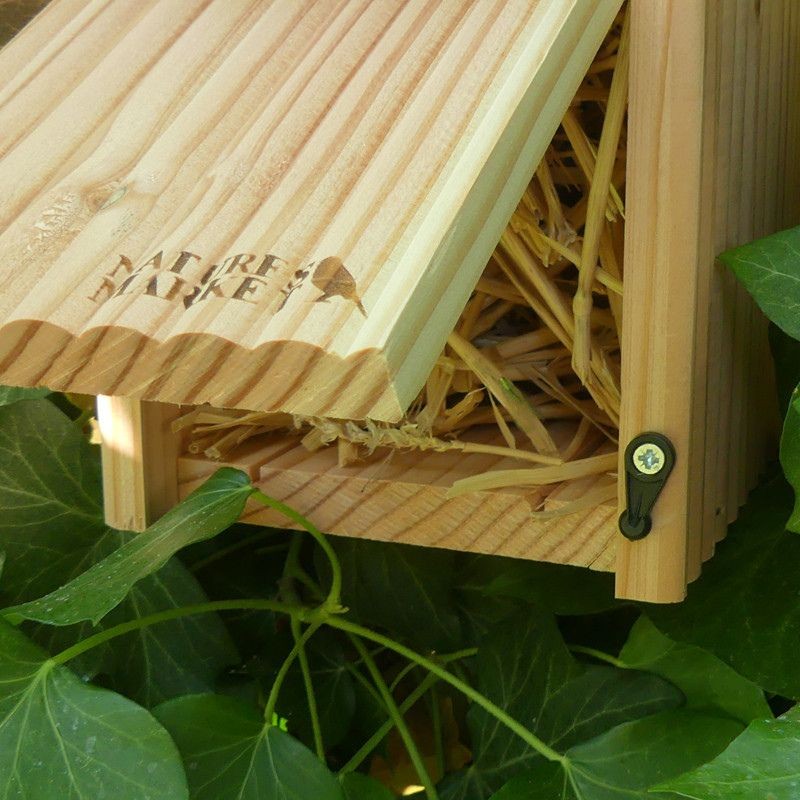 Gîte "Chrysope" en Epicéa et Pin Douglas