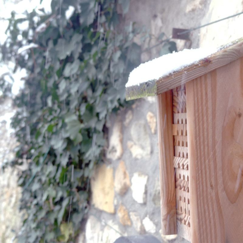 Hôtel à abeilles solitaires Maya