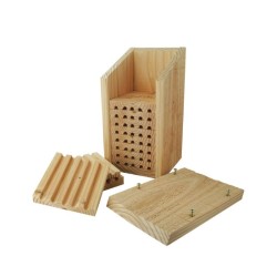 Hôtel à abeilles solitaires Maya