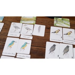 Mon coffret Montessori des oiseaux - 105 cartes classifiées pour découvrir les oiseaux d'Europe Mon coffret Montessori des oiseaux - 105 cartes classifiées pour découvrir les oiseaux d'Europe
