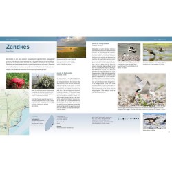 De mooiste fotolocaties (3) – Texel