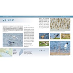 De mooiste fotolocaties (3) – Texel