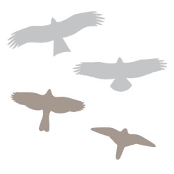 Autocollants anticollisions électrostatiques - Rapaces