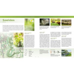 De mooiste fotolocaties (1) - Zuid-Nederland