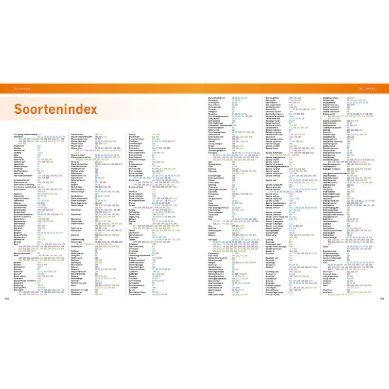 De mooiste fotolocaties (1) - Zuid-Nederland