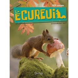L'Ecureuil - P'tit curieux