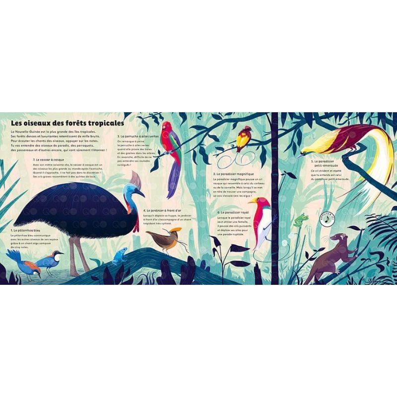 Les sons de la nature - le monde des oiseaux Les sons de la nature - le monde des oiseaux