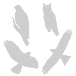 Autocollants anticollisions - Rapaces - Lot de 8