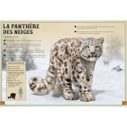 Le Livre extraordinaire des animaux en danger Le Livre extraordinaire des animaux en danger