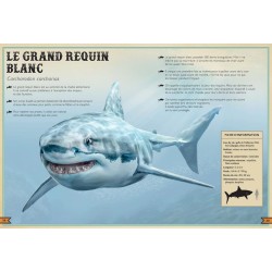 Le Livre extraordinaire des animaux en danger Le Livre extraordinaire des animaux en danger