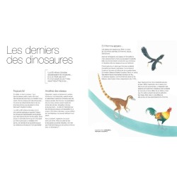 Oiseaux - Des alliés à protéger