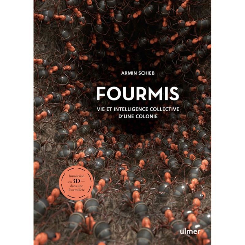 Fourmis - Vie et intelligence collective d'une colonie