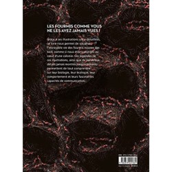 Fourmis - Vie et intelligence collective d'une colonie