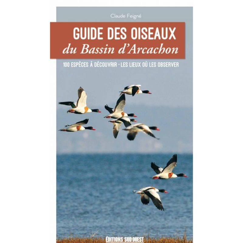 Guide des oiseaux du Bassin d’Arcachon