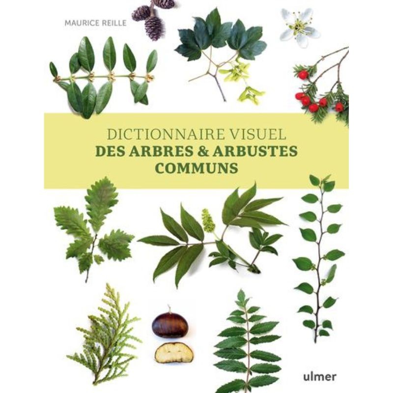 Dictionnaire visuel des Arbres et Arbustes communs