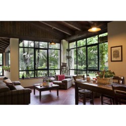 Grand autocollant anticollisions - Oiseaux sur branches d'olivier Grand autocollant anticollisions - Oiseaux sur branches d'olivier