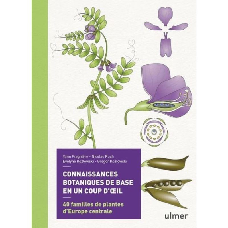 Connaissances botaniques de base en un coup d'oeil - 40 familles de plantes d'Europe centrale