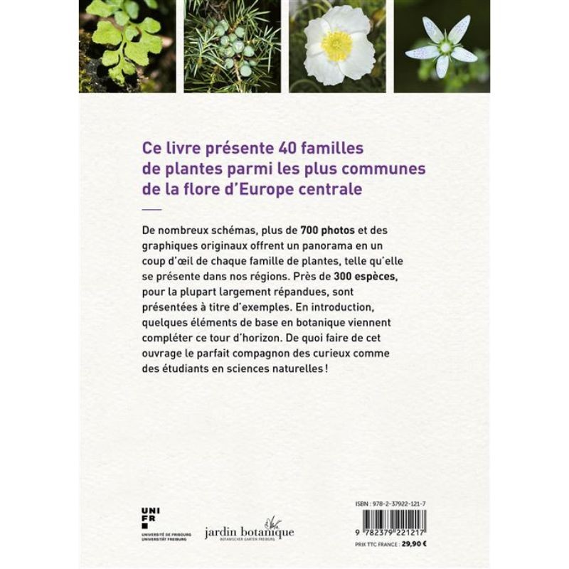 Connaissances botaniques de base en un coup d'oeil - 40 familles de plantes d'Europe centrale Connaissances botaniques de base en un coup d'oeil - 40 familles de plantes d'Europe centrale