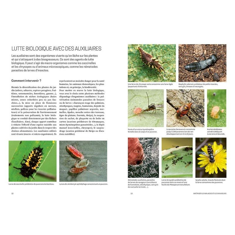 Les solutions de biocontrôle pour soigner les plantes du jardin Les solutions de biocontrôle pour soigner les plantes du jardin