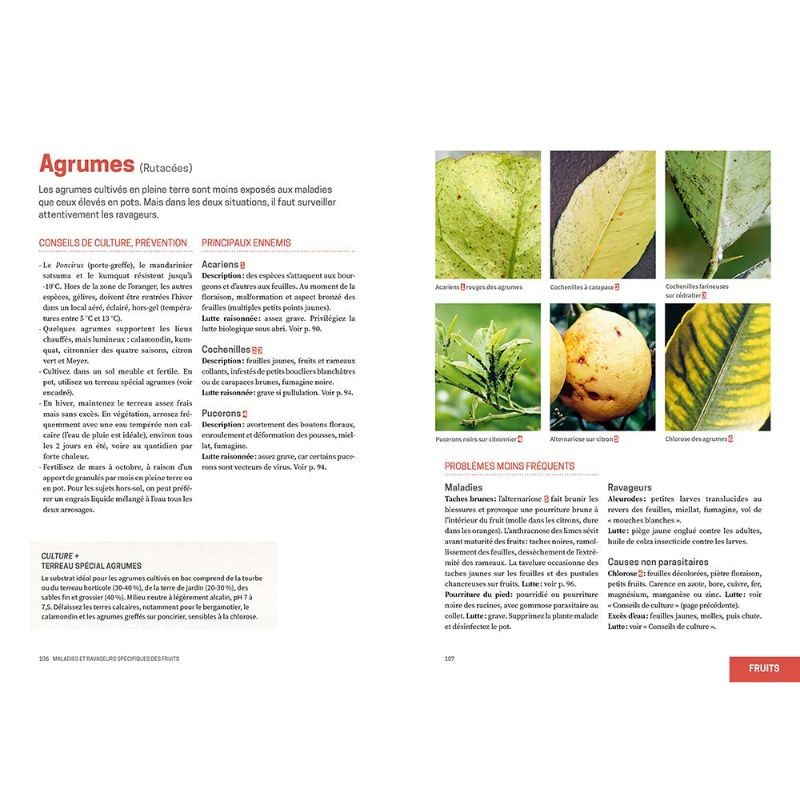 Les solutions de biocontrôle pour soigner les plantes du jardin Les solutions de biocontrôle pour soigner les plantes du jardin