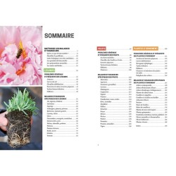 Les solutions de biocontrôle pour soigner les plantes du jardin Les solutions de biocontrôle pour soigner les plantes du jardin