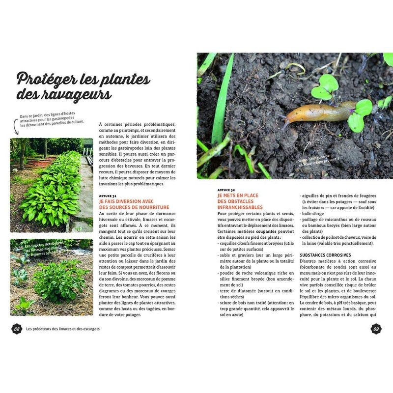 Gestion écologique des limaces et des escargots au jardin