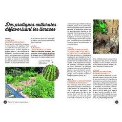 Gestion écologique des limaces et des escargots au jardin