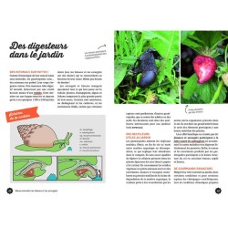 Gestion écologique des limaces et des escargots au jardin