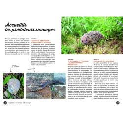 Gestion écologique des limaces et des escargots au jardin