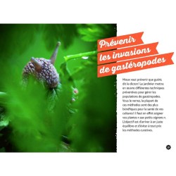 Gestion écologique des limaces et des escargots au jardin