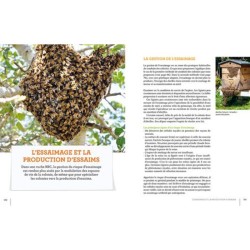 La ruche basse consommation d'énergie - Une révolution "apicole"