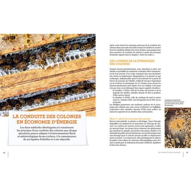 La ruche basse consommation d'énergie - Une révolution "apicole"