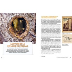 La ruche basse consommation d'énergie - Une révolution "apicole"