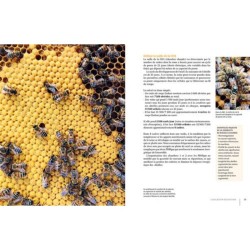 La ruche basse consommation d'énergie - Une révolution "apicole"