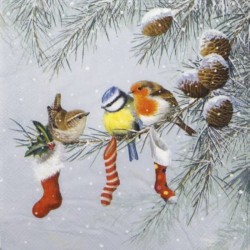 Serviettes "Chaussettes de Noël" - Cocktail