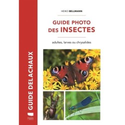Guide photo des Insectes - adultes, larves ou chrysalides - Nouvelle Edition