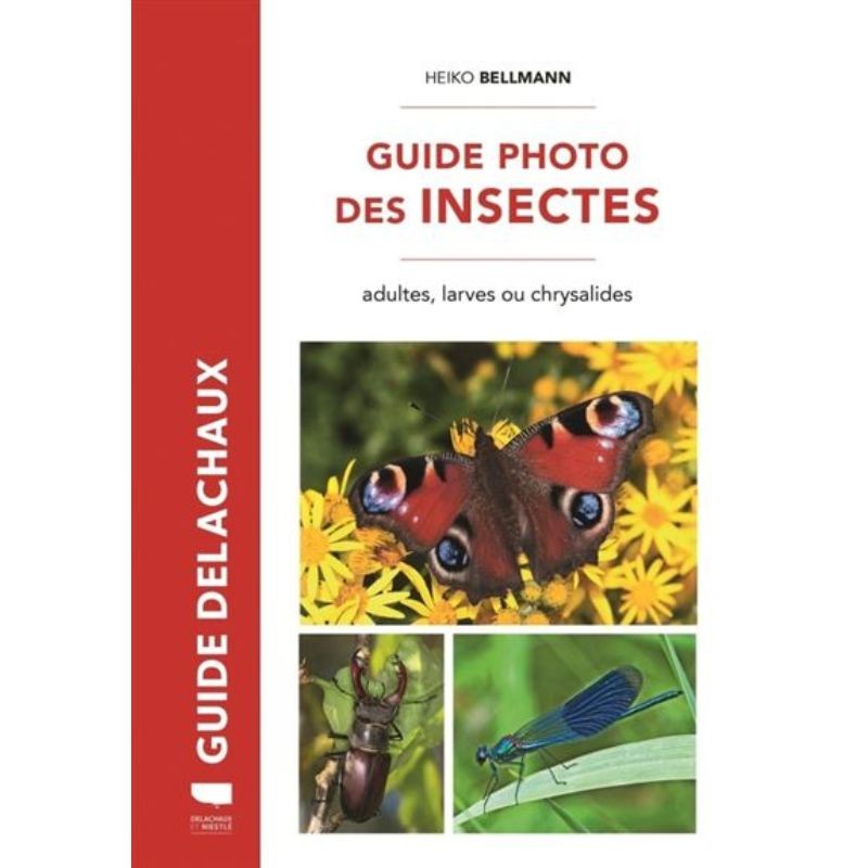 Guide photo des Insectes - adultes, larves ou chrysalides - Nouvelle Edition