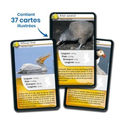Jeu Défis Nature - Oiseaux - Bioviva - Nouvelle Edition