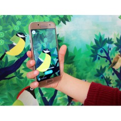Birdie Memory - Pour apprendre les chants des oiseaux Birdie Memory - Pour apprendre les chants des oiseaux