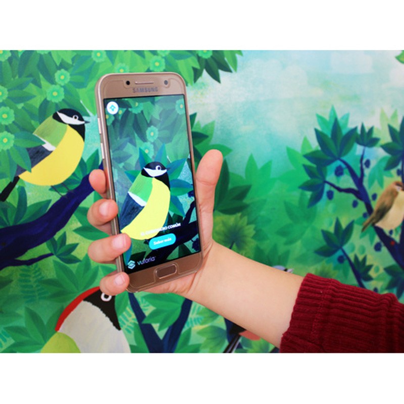 Birdie Memory - Pour apprendre les chants des oiseaux