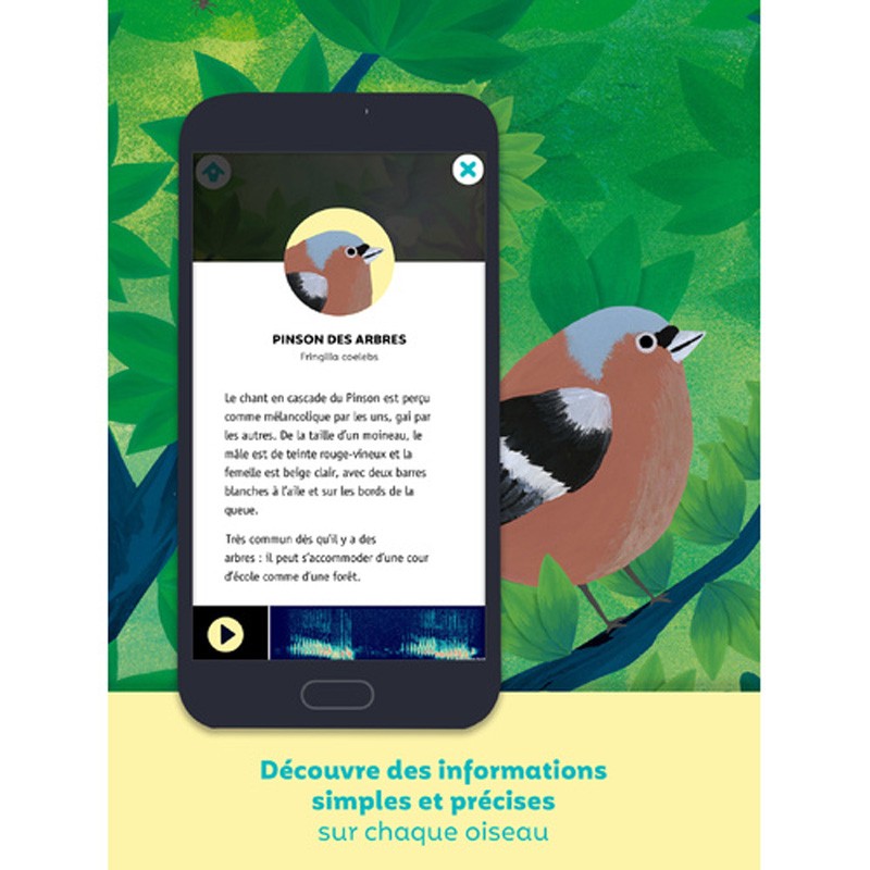 Birdie Memory - Pour apprendre les chants des oiseaux