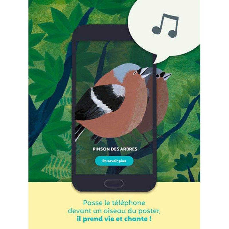 Birdie Memory - Pour apprendre les chants des oiseaux
