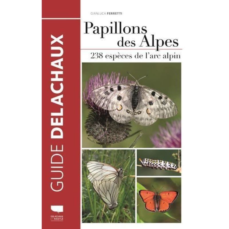 Papillons des Alpes - 238 espèces de l'arc alpin