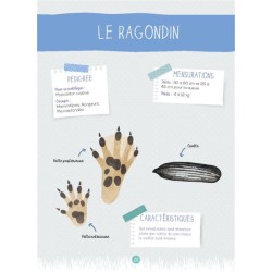 Crottes et empreintes de mammifères sauvages - Mon petit guide Nature