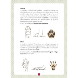 Crottes et empreintes de mammifères sauvages - Mon petit guide Nature