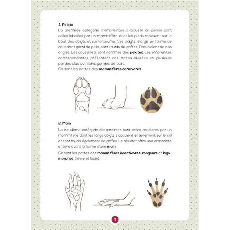 Crottes et empreintes de mammifères sauvages - Mon petit guide Nature