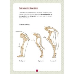 Crottes et empreintes de mammifères sauvages - Mon petit guide Nature