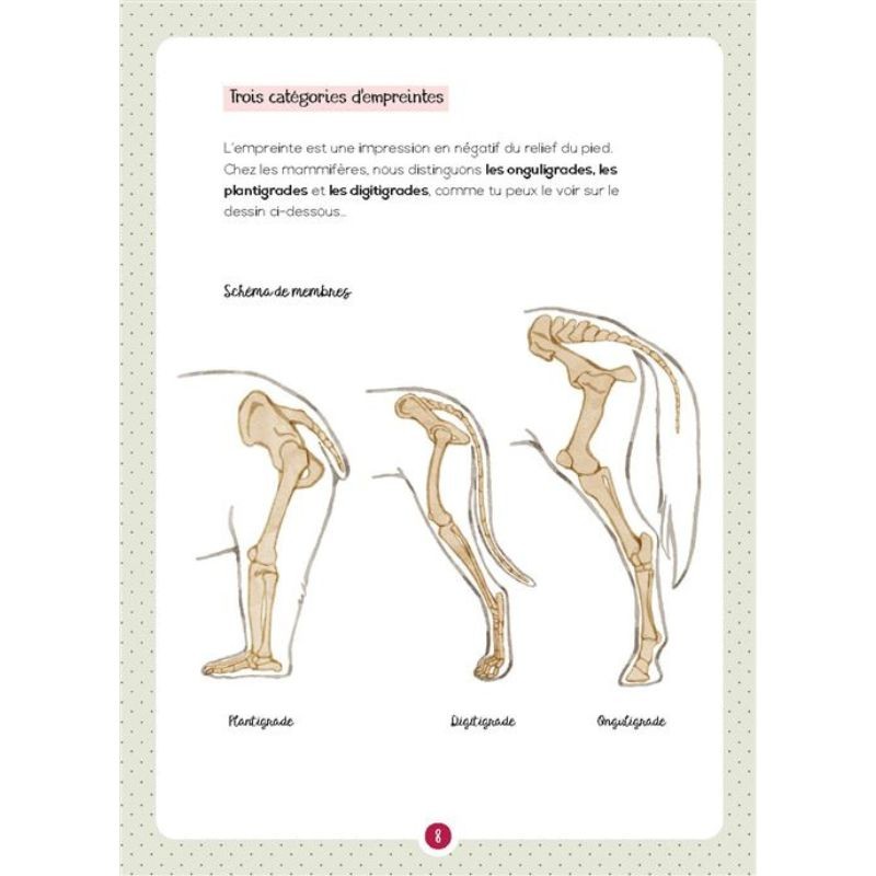 Crottes et empreintes de mammifères sauvages - Mon petit guide Nature