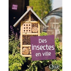 Des insectes en ville - Carnets de sciences